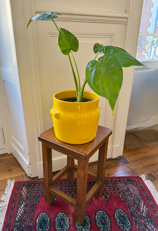 Razzia wooden brutalist-style stool with a minimalist, sculptural design, featuring natural wood grain and sturdy construction.