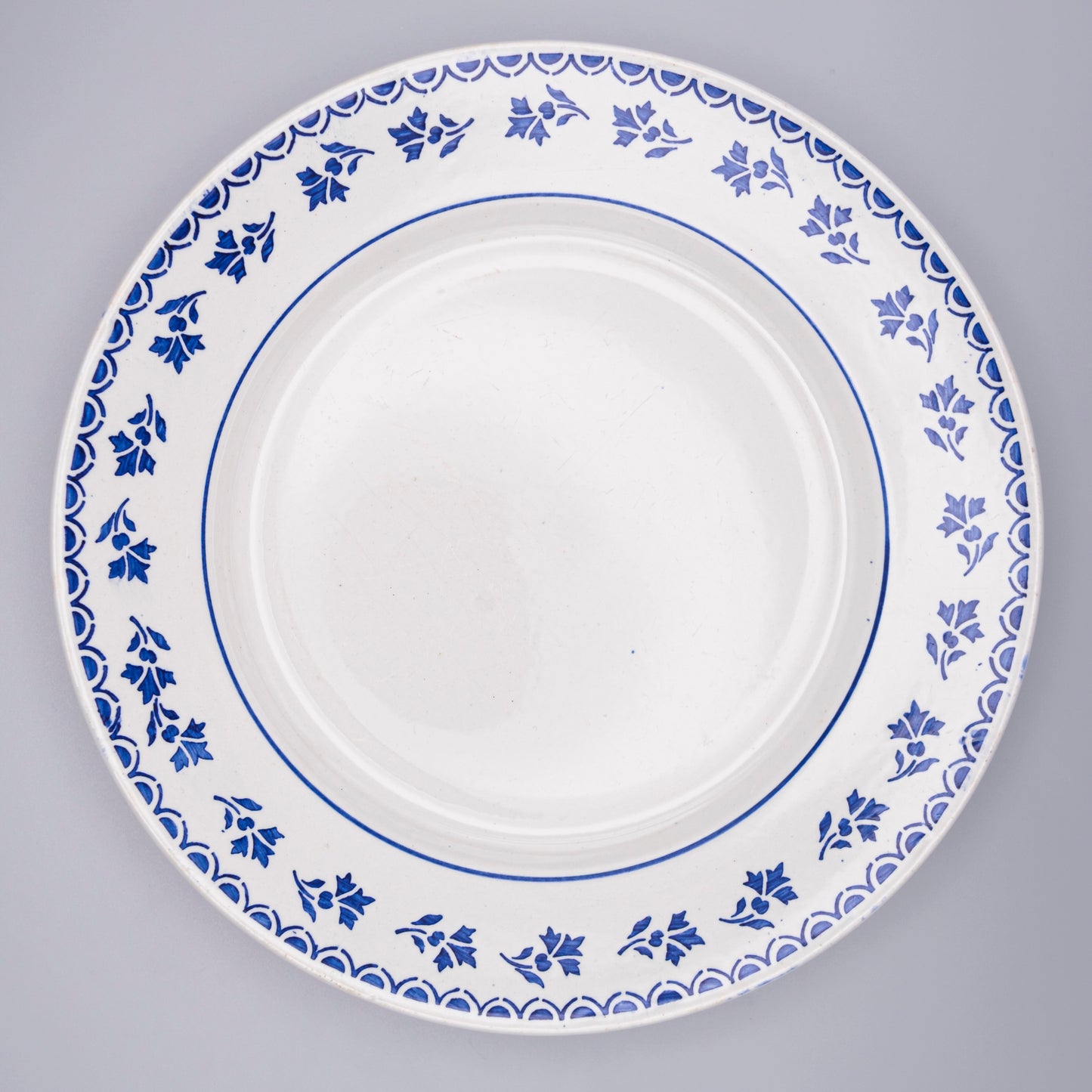 Assiettes semi creuses bleues gui