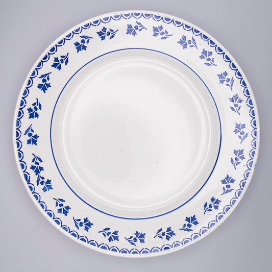 Assiettes semi creuses bleues gui