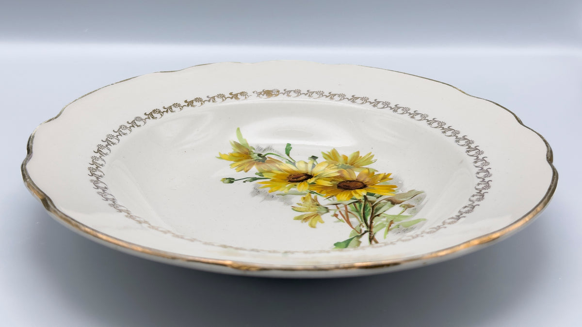 Lot d'assiettes à motif marguerites plates