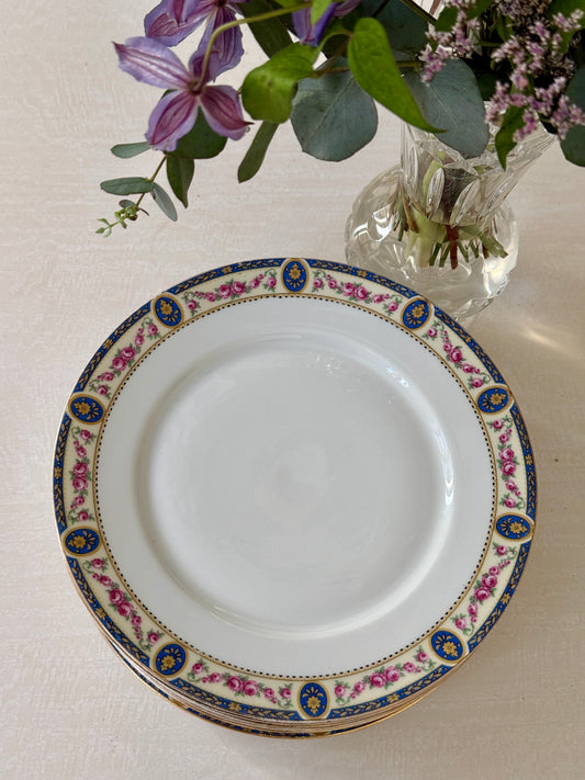 Set of 7 Razzia Limoges porcelain dinner plates with elegant white design, perfect for formal dining.